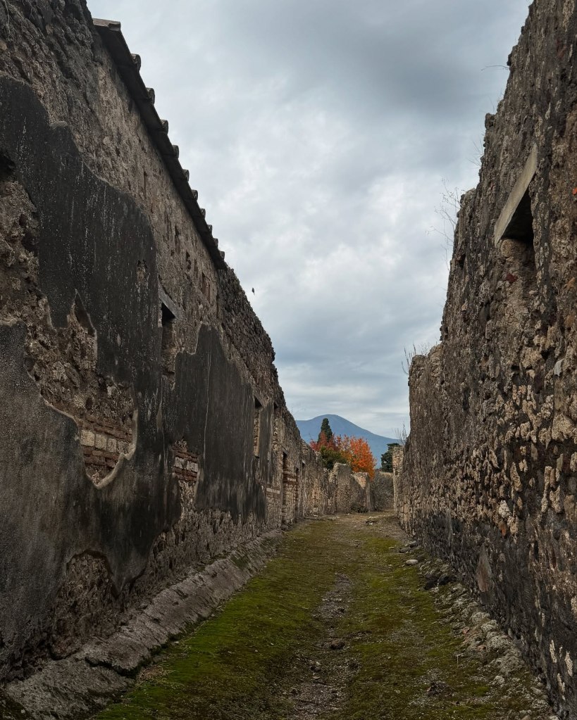 PompeiI 1 day before Christmas. 2024.