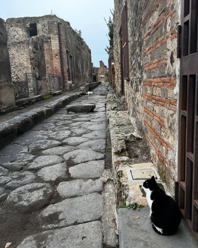 PompeiI 1 day before Christmas. 2024.