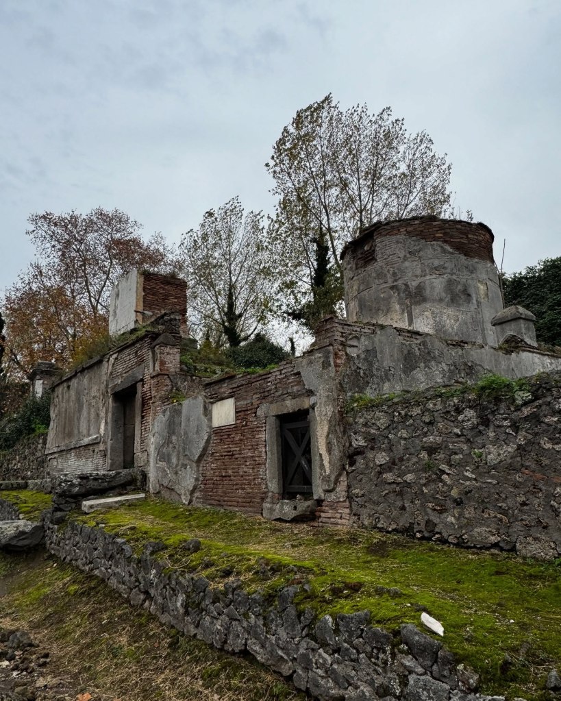 PompeiI 1 day before Christmas. 2024.