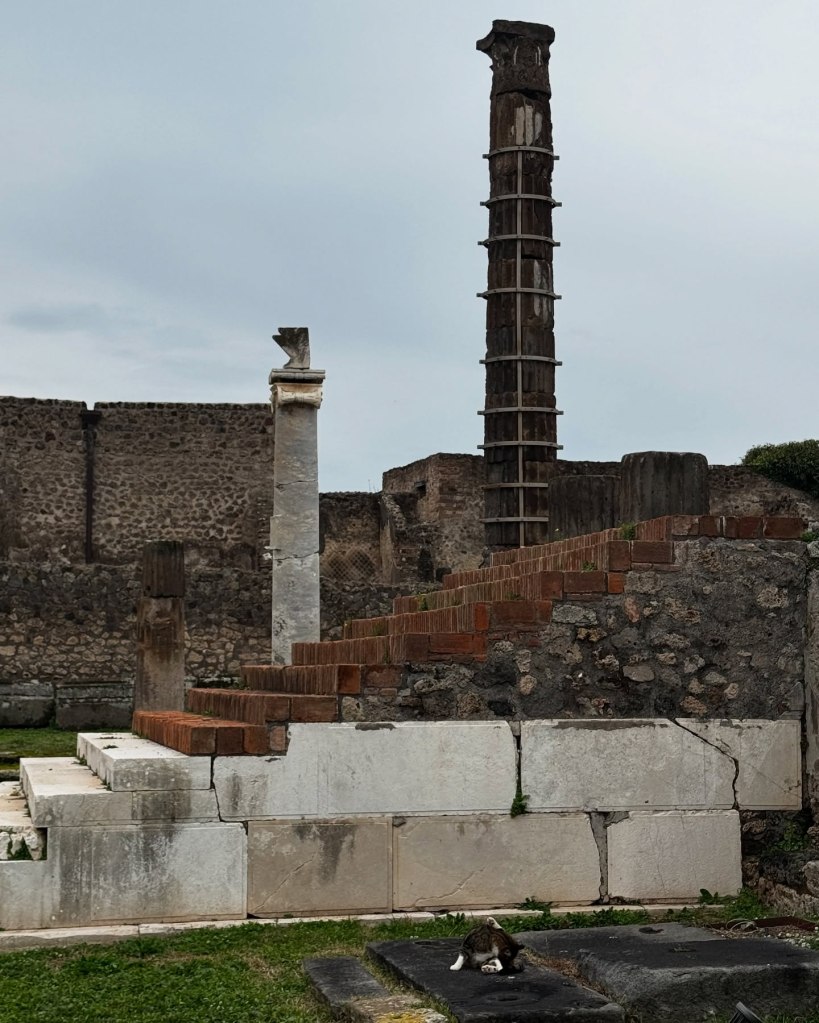PompeiI 1 day before Christmas. 2024.